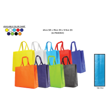 NON WOVEN BAG 009 