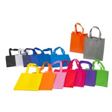NON WOVEN BAG 066 