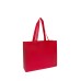 NON WOVEN BAG 19 