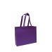 NON WOVEN BAG 19 