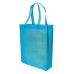 NON WOVEN BAG 21 