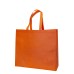 NON WOVEN BAG 25 NON WOVEN BAG 25