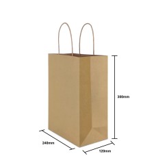 PAPER BAG TH09 (TWISTED HANDLE) 