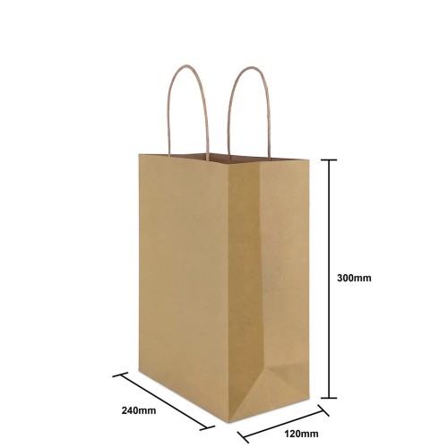 PAPER BAG TH09 (TWISTED HANDLE) 