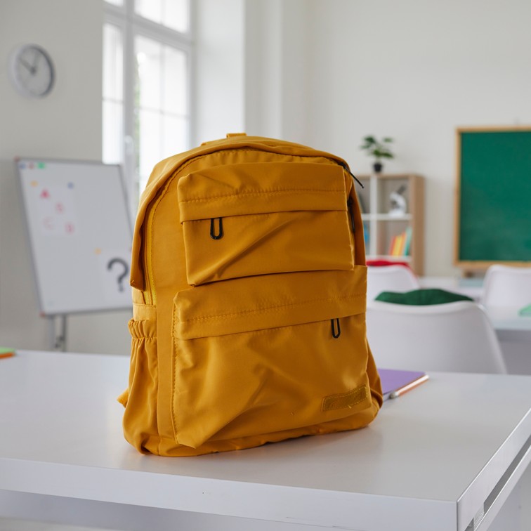 Custom shoe bag design